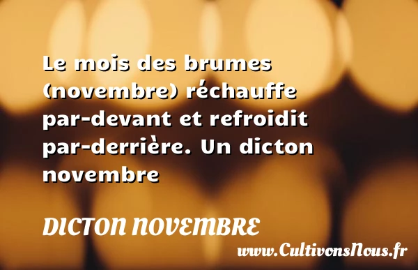 Le mois des brumes (novembre) réchauffe par-devant et refroidit - Dicton novembre