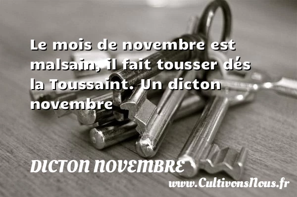Le mois de novembre est malsain, il fait - Dicton novembre