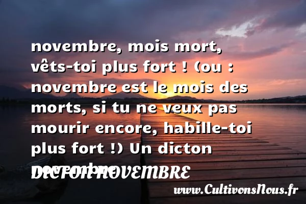 novembre, mois mort, vêts-toi plus fort ! (ou : novembre - Dicton novembre