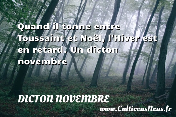 Quand il tonne entre Toussaint et Noël, l’Hiver est en - Dicton novembre