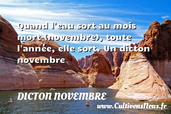Quand l’eau sort au mois mort (novembre), toute l’année, - Dicton novembre