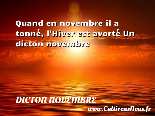 Quand en novembre il a tonné, l’Hiver est - Dicton novembre