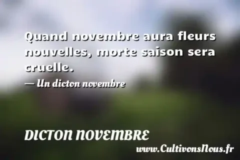 Quand novembre aura fleurs nouvelles, morte saison sera cruelle. - Un dicton novembre DICTON NOVEMBRE