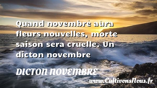 Quand novembre aura fleurs nouvelles, morte saison sera - Dicton novembre