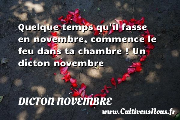 Quelque temps qu’il fasse en novembre, commence le feu dans ta chambre - Dicton novembre