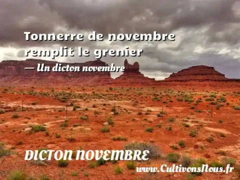 Tonnerre de novembre remplit le grenier - Un dicton novembre DICTON NOVEMBRE