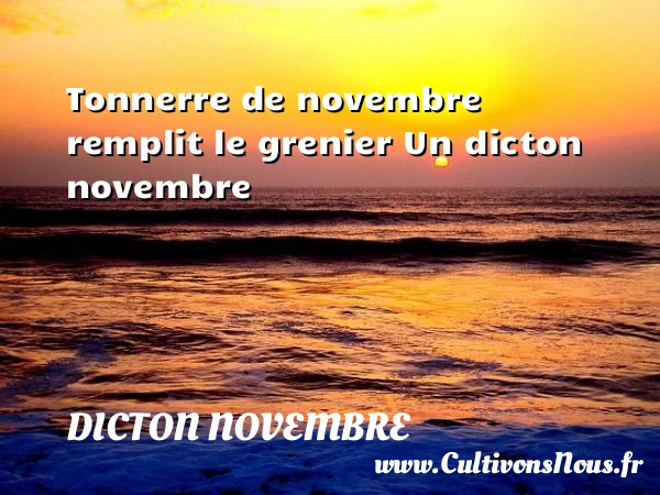 Tonnerre de novembre remplit le grenier - Dicton novembre