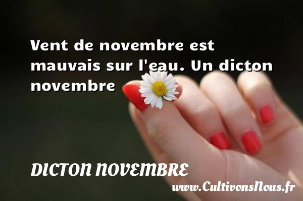 Vent de novembre est mauvais sur l’eau. - Dicton novembre