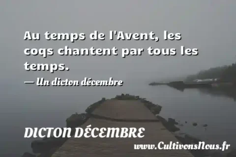 Au temps de l Avent, les coqs chantent par tous les temps. - Un dicton décembre DICTON DÉCEMBRE
