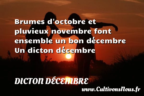 Brumes d’octobre et pluvieux novembre font ensemble un - Dicton décembre