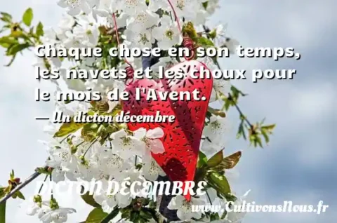 Chaque chose en son temps, les navets et les choux pour le mois de l Avent. - Un dicton décembre DICTON DÉCEMBRE