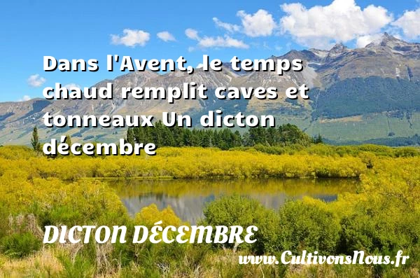 Dans l’Avent, le temps chaud remplit caves et - Dicton décembre