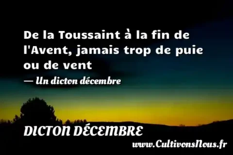De la Toussaint à la fin de l Avent, jamais trop de puie ou de vent - Un dicton décembre DICTON DÉCEMBRE