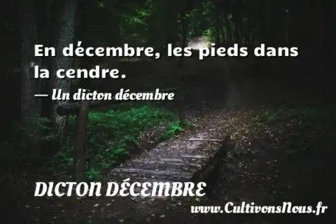 En décembre, les pieds dans la cendre. - Un dicton décembre DICTON DÉCEMBRE