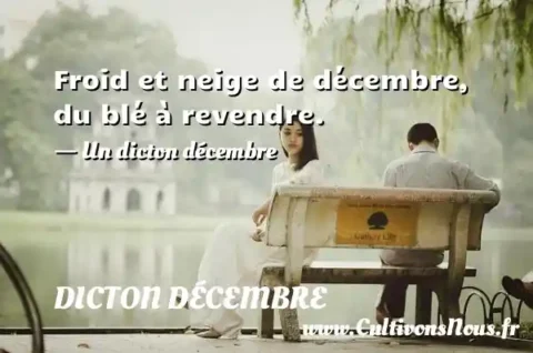 Froid et neige de décembre, du blé à revendre. - Un dicton décembre DICTON DÉCEMBRE