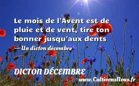 Le mois de l Avent est de pluie et de vent, tire ton bonner jusqu aux dents - Un dicton décembre DICTON DÉCEMBRE