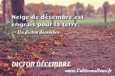 Neige de décembre est engrais pour la terre. - Un dicton décembre DICTON DÉCEMBRE
