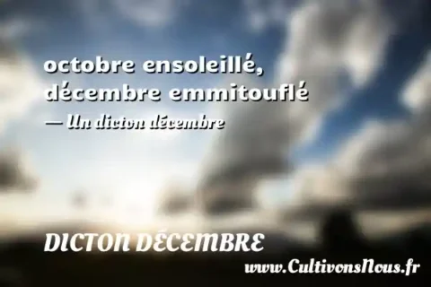 octobre ensoleillé, décembre emmitouflé - Un dicton décembre DICTON DÉCEMBRE