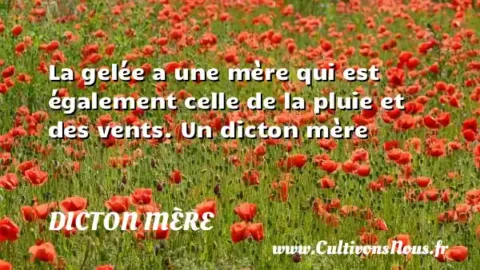 La gelée a une mère qui est également celle de la pluie et des vents. Un dicton mère DICTON MÈRE