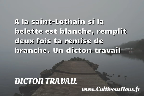 A la saint-Lothain si la belette est blanche, remplit - Dicton travail