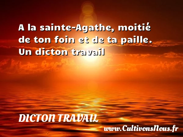 A la sainte-Agathe, moitié de ton foin et de ta - Dicton travail