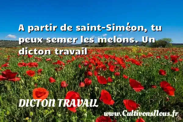 A partir de saint-Siméon, tu peux semer les melons. Un dicton travail DICTON TRAVAIL