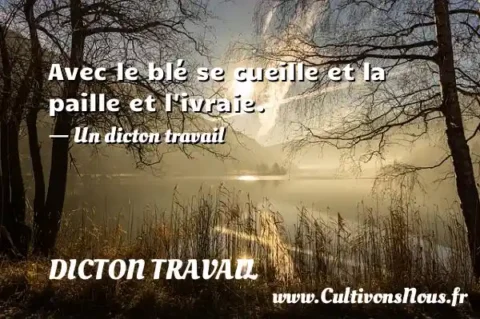 Avec le blé se cueille et la paille et l ivraie. - Un dicton travail DICTON TRAVAIL