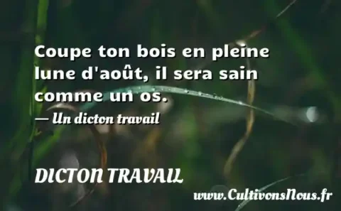 Coupe ton bois en pleine lune d août, il sera sain comme un os. - Un dicton travail DICTON TRAVAIL