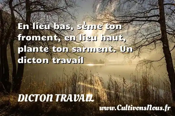 En lieu bas, sème ton froment, en lieu haut, plante ton sarment. Un dicton travail DICTON TRAVAIL