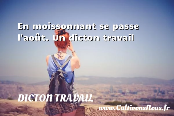 En moissonnant se passe l’août. - Dicton travail