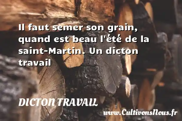 Il faut semer son grain, quand est beau l’été - Dicton travail