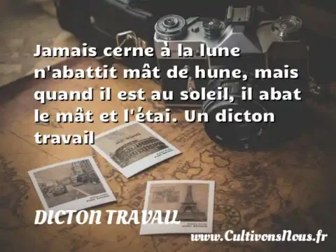 Jamais cerne à la lune n abattit mât de hune, mais quand il est au soleil, il abat le mât et l étai. Un dicton travail DICTON TRAVAIL