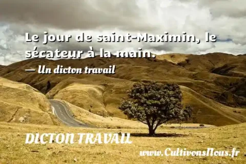 Le jour de saint-Maximin, le sécateur à la main. - Un dicton travail DICTON TRAVAIL