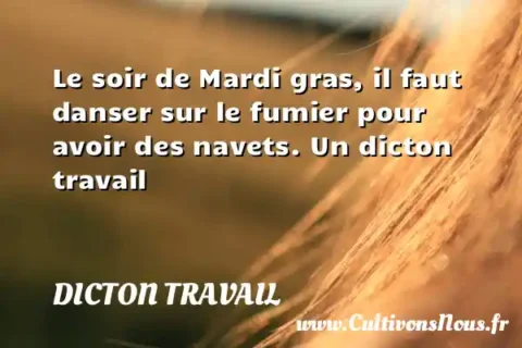 Le soir de Mardi gras, il faut danser sur le fumier pour avoir des navets. Un dicton travail DICTON TRAVAIL