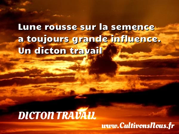 Lune rousse sur la semence a toujours grande - Dicton travail