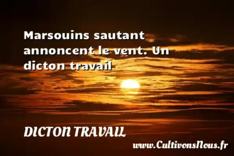 Marsouins sautant annoncent le vent. Un dicton travail DICTON TRAVAIL