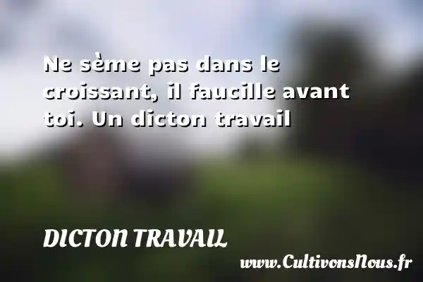 Ne sème pas dans le croissant, il faucille avant - Dicton travail