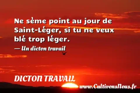 Ne sème point au jour de Saint-Léger, si tu ne veux blé trop léger. - Un dicton travail DICTON TRAVAIL
