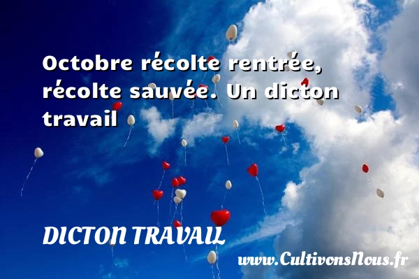Octobre récolte rentrée, récolte sauvée. - Dicton travail