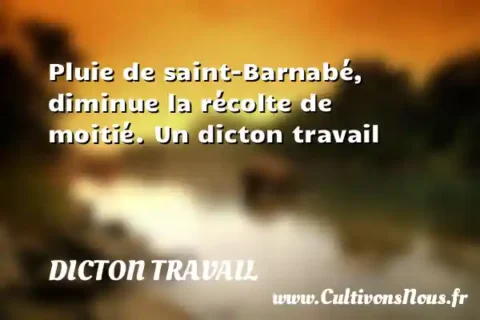 Pluie de saint-Barnabé, diminue la récolte de moitié. Un dicton travail DICTON TRAVAIL