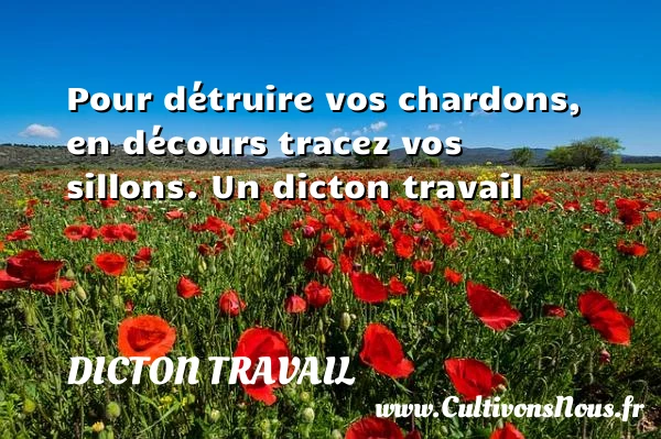 Pour détruire vos chardons, en décours tracez vos - Dicton travail