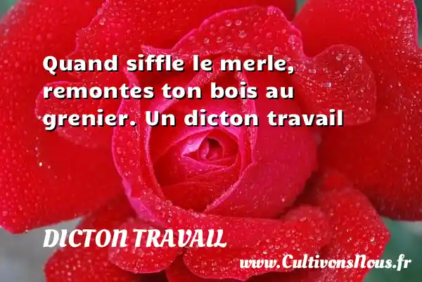 Quand siffle le merle, remontes ton bois au grenier. Un dicton travail DICTON TRAVAIL