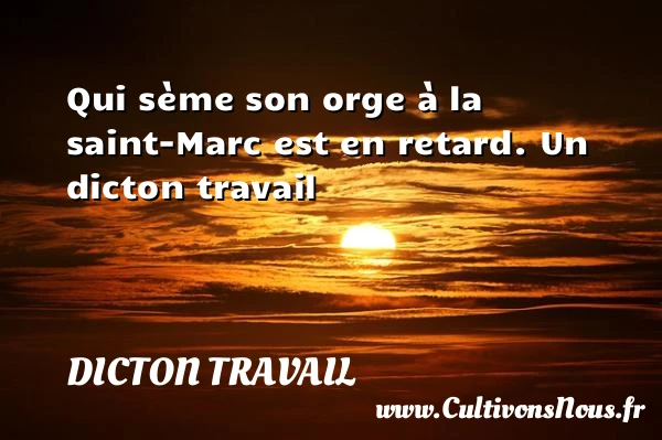 Qui sème son orge à la saint-Marc est - Dicton travail