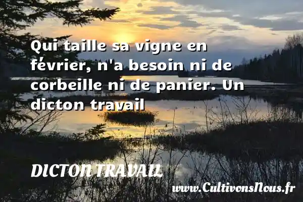 Qui taille sa vigne en février, n a besoin ni de corbeille ni de panier. Un dicton travail DICTON TRAVAIL