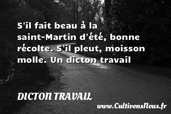 S’il fait beau à la saint-Martin d’été, bonne récolte. - Dicton travail