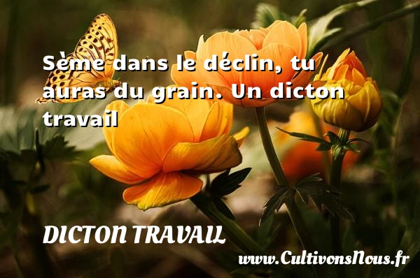 Sème dans le déclin, tu auras du grain. - Dicton travail