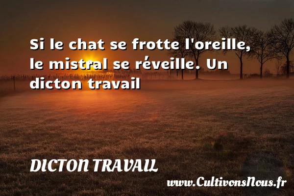 Si le chat se frotte l’oreille, le mistral se - Dicton travail
