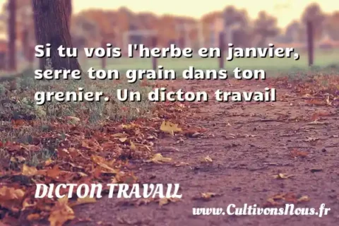 Si tu vois l herbe en janvier, serre ton grain dans ton grenier. Un dicton travail DICTON TRAVAIL