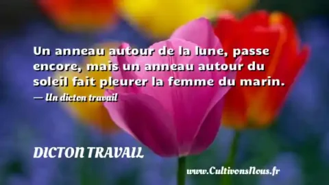 Un anneau autour de la lune, passe encore, mais un anneau autour du soleil fait pleurer la femme du marin. - Un dicton travail DICTON TRAVAIL
