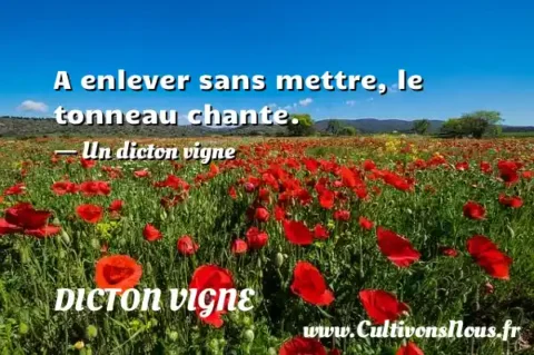 A enlever sans mettre, le tonneau chante. - Un dicton vigne DICTON VIGNE